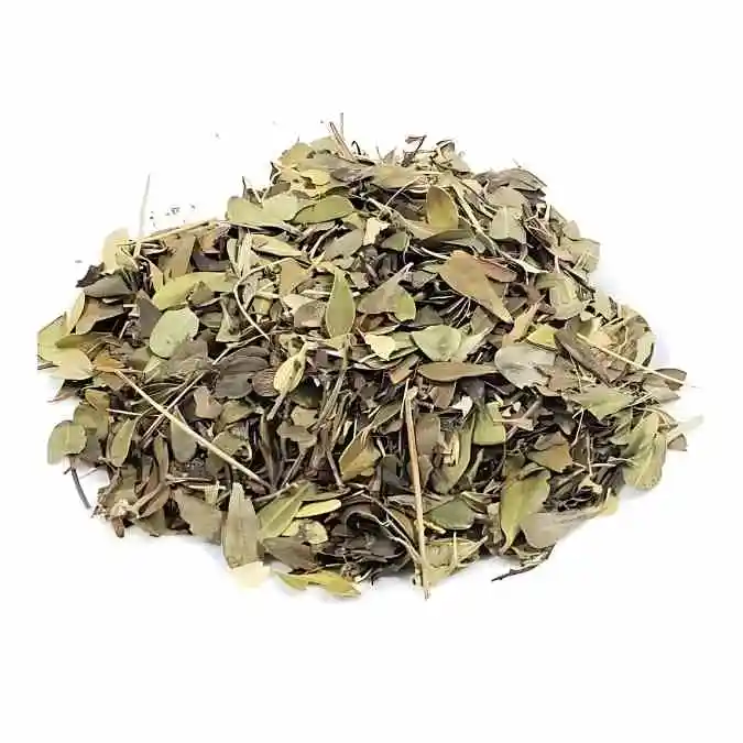 Uva-Ursi  Pacote - 1 Kg