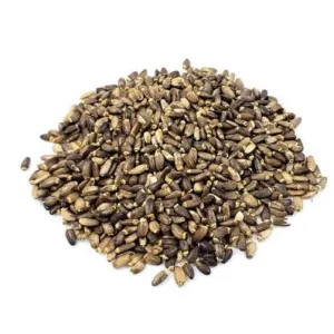 Cardo Mariano - Rock Snack 50G da Rock Snack