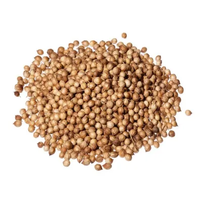 Coentro Em Grão - 25 Kg da Rock Snack