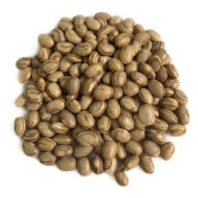 Feijão Carioca - 5 Kg da Rock Snack