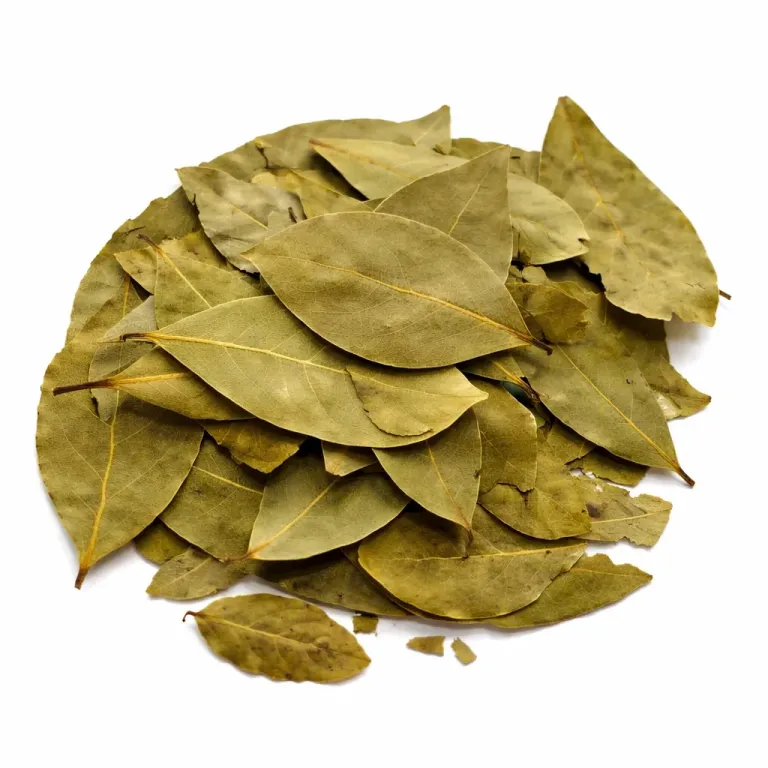 Louro Em Folhas Premium - 10 Kg da Rock Snack