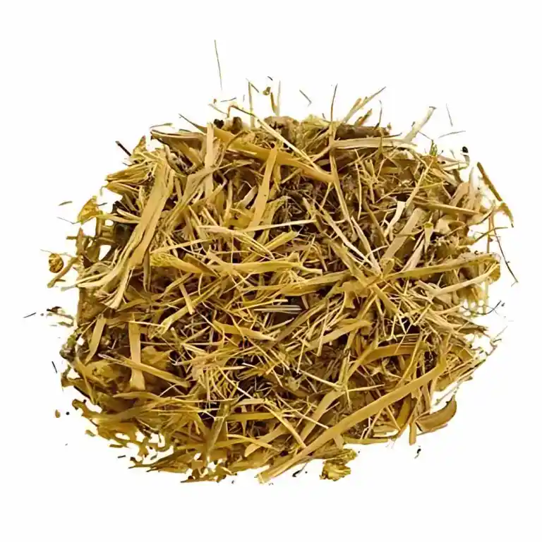 Mamica-de-Cadela Rasurada - Rock Snack 50G da Rock Snack