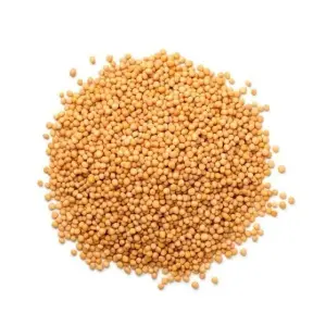 Mostarda Amarela Em Grão - 5 Kg da Rock Snack