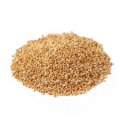 Painço C/ Casca - 50 Kg da Rock Snack