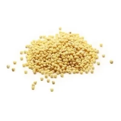 Painço S/ Casca - 5 Kg da Rock Snack