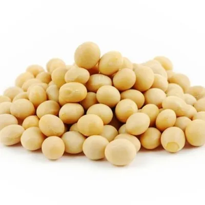 Soja Em Grão - 1 Kg da Rock Snack