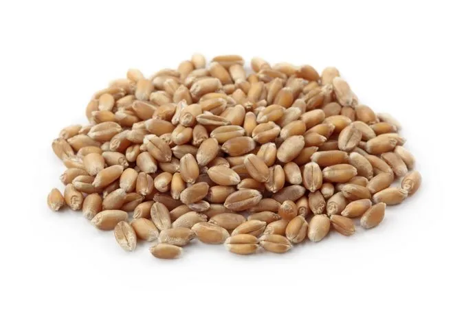 Trigo Em Grão - 1 Kg